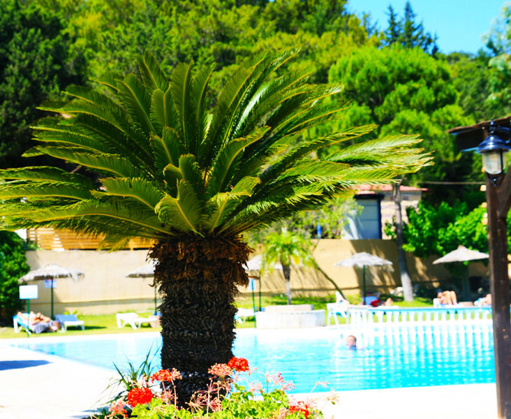 Achousa Hotel Faliraki Zewnętrze zdjęcie