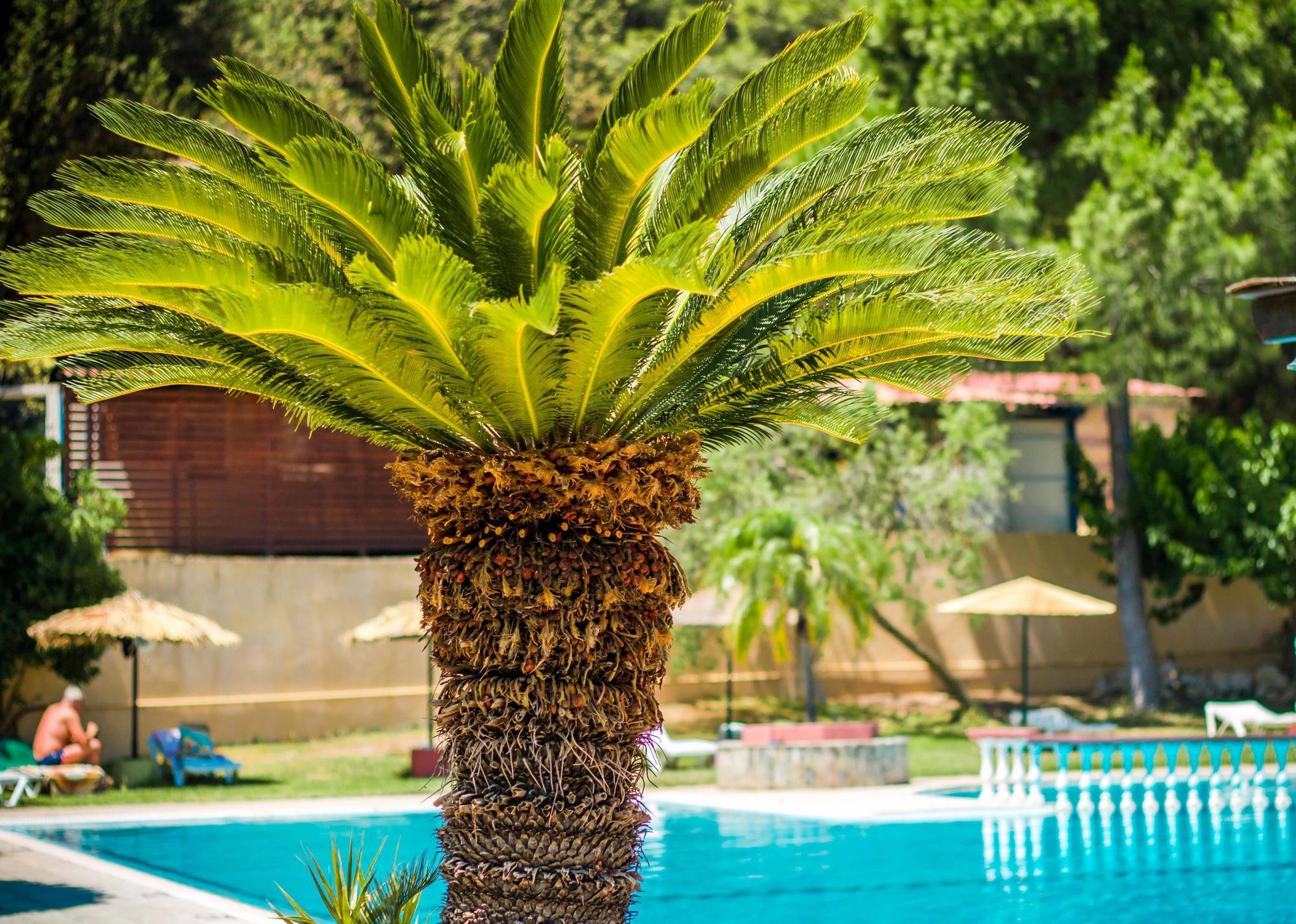 Achousa Hotel Faliraki Zewnętrze zdjęcie