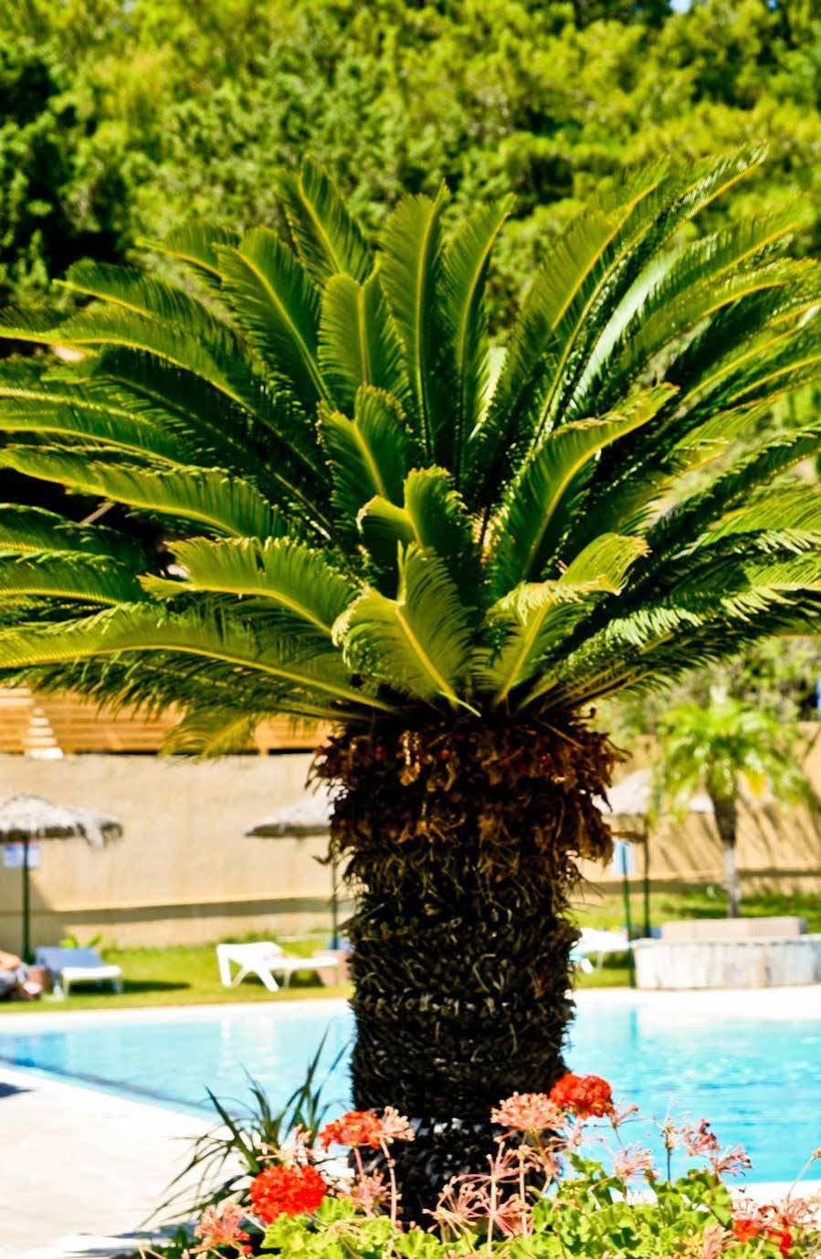 Achousa Hotel Faliraki Zewnętrze zdjęcie